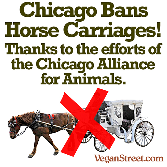 Chicago Bans Horse Carriages