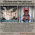 Chickens aren't the only ones imprisoned by the dairy industry.