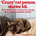 "Crazy' cat person starter kit.