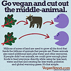 Go vegan and cut out the middle-animal.