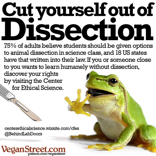 Cut yourself out of dissection.