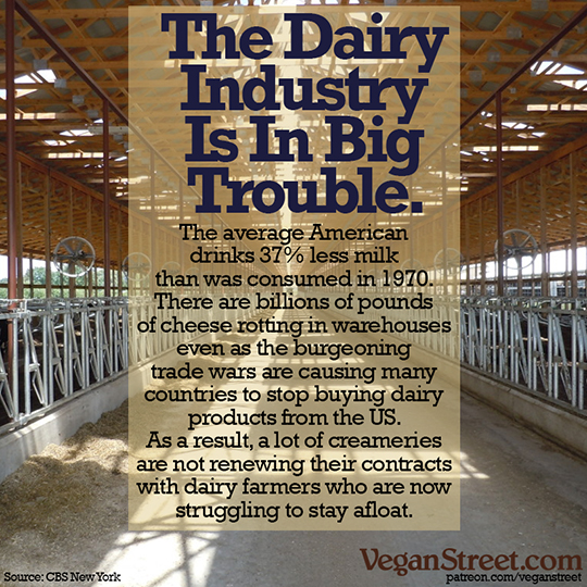 The Dairy Industry Is In Big Trouble