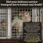 Did your delivery service transport her to torture and death?