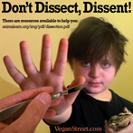 Don't Dissect, Dissent!