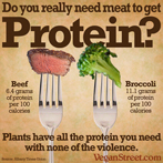 Do you really need meat to get Protein?