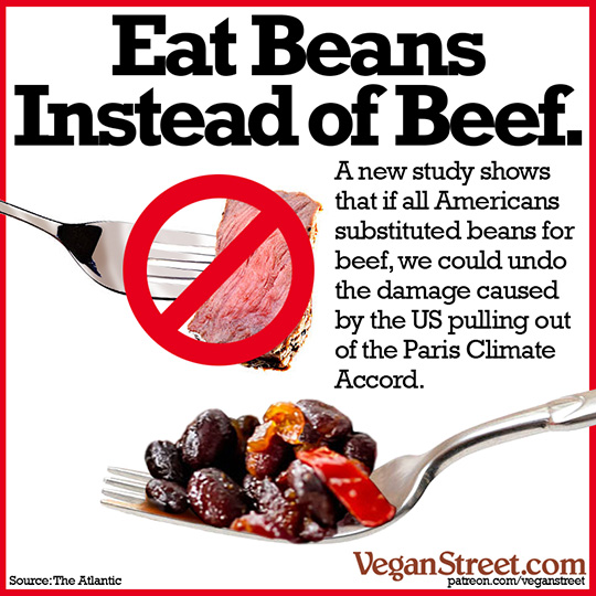 Eat Beans Instead of Beef.