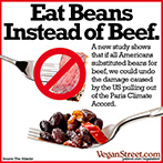 Eat Beans Instead of Beef.