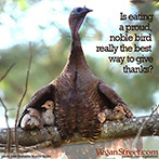 Is eating a proud, noble bird really the best way to give thanks?