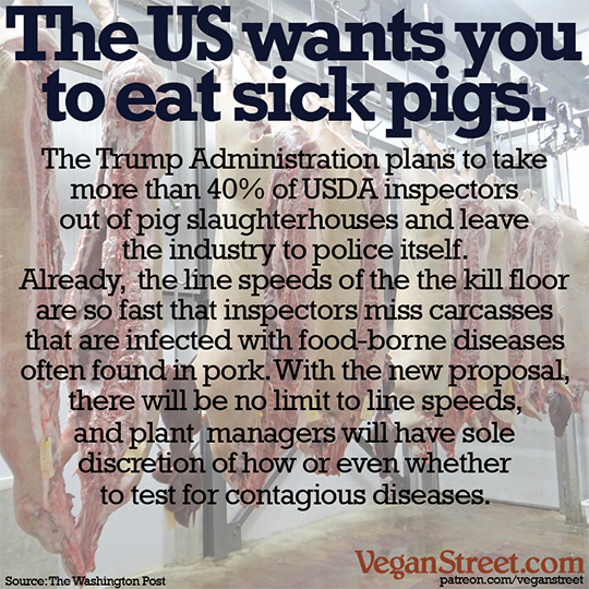 The US wants you to eat sick pigs.