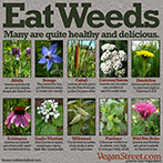 Eat Weeds.