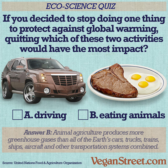 Eco Science Quiz - Global Warming