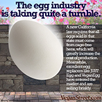 The egg industry is taking quite a tumble.