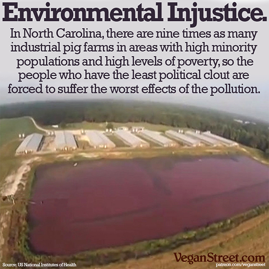 Environmental Injustice