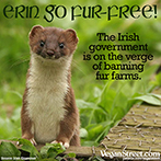 Erin Go Fur-Free!