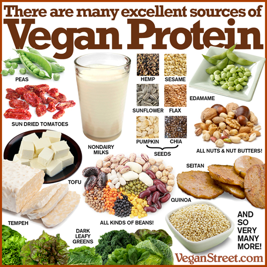 There are many excellent sources of vegan protein