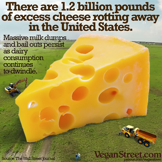 There are 1.2 Billion pounds of cheese rotting away in the US.