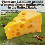 There are 1.2 Billion pounds of cheese rotting away in the US.