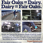 Fair Oaks = Dairy. Dairy = Fair Oaks.