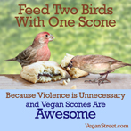 Feed two birds with one scone