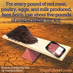 For each pound of meat, we lose five pounds of irreplacable topsoil.