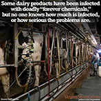 Some dairy products are infected with deadly "Forever Chemicals"