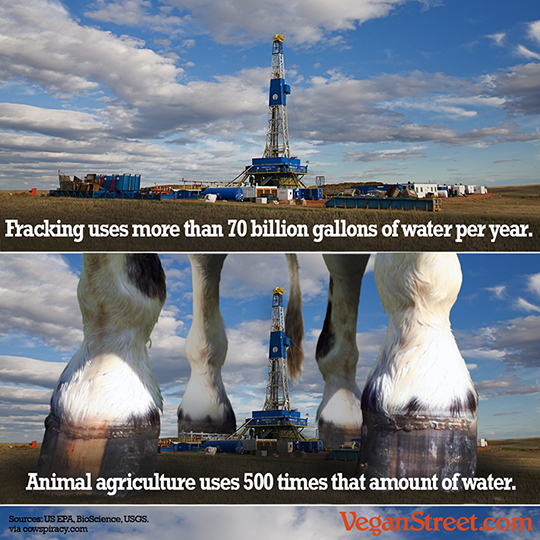 Fracking uses more than 70 billion gallons of water per year.