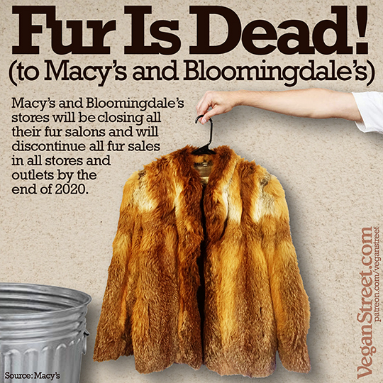 Fur Is Dead! (to Macy's and Bloomingdale's)