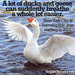 A lot of ducks and geese can now breathe a lot easier
