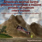 America's animal farms produce more than a million pounds of manure every minute.