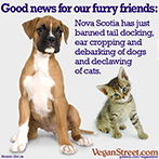 Good news for our furry friends: