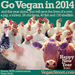 Go Vegan in 2014