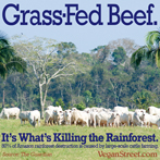 Grass Fed Beef. It's what's killing the rainforest.