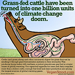 Grass-fed cattle have been turned into one billion units of climate change doom.