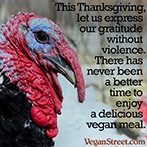 This Thanksgiving, let us express our gratitude without violence.