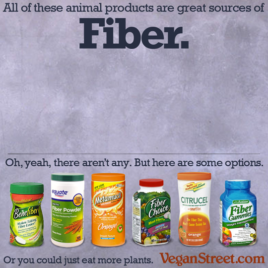 All of these animals products are great sources of fiber.