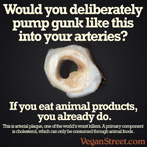 Would you deliberately pump gunk like this in your arteries?