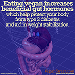 Eating vegan increases beneficial gut hormones