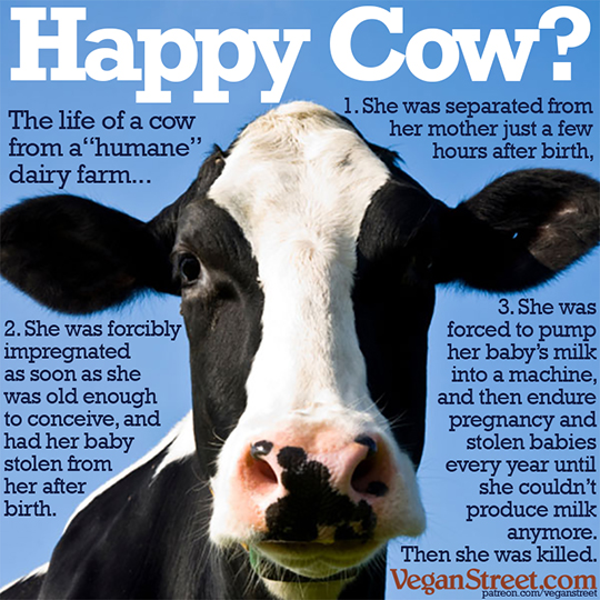 Happy Cow?