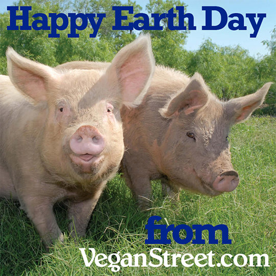 Happy Earth Day from Vegan Street