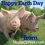 Happy Earth Day from Vegan Street