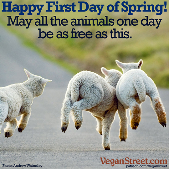 Happy First Day of Spring!