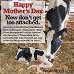 Happy Mothers Day. Now don't get too attached.