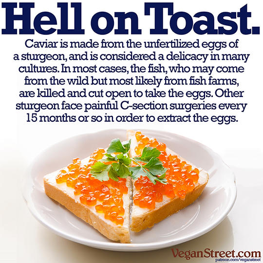 Hell on Toast.