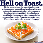 Hell on Toast.