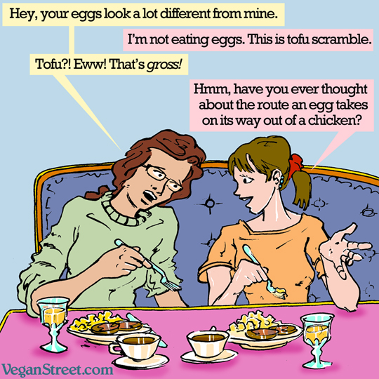 Hey, your eggs look a lot different from mine.