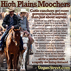 High Plains Moochers