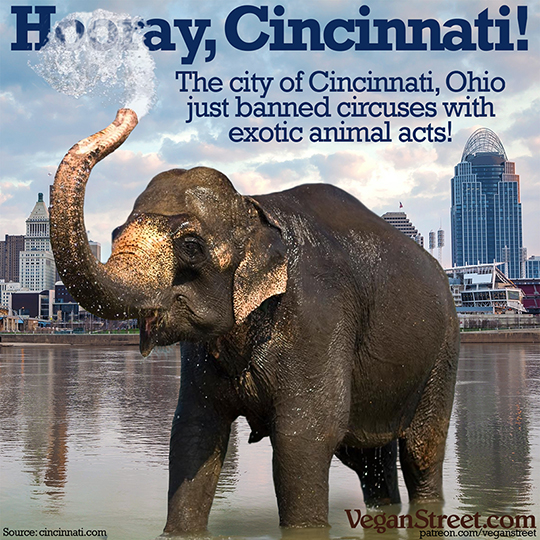 Hooray, Cincinnati!