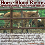 Horse Blood Farms. Abusing animals to abuse other animals.