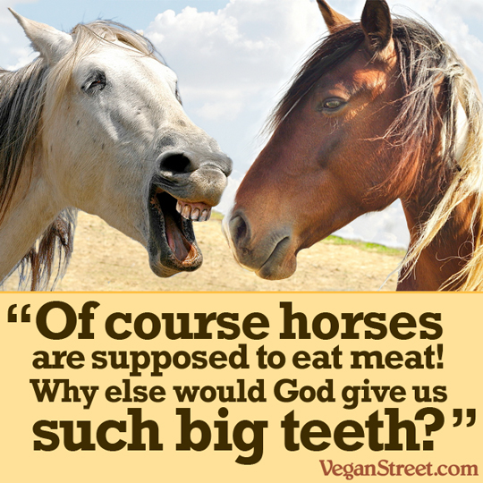 Of course horses are supposed to eat meat!