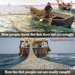 How people think the fish they eat are caught